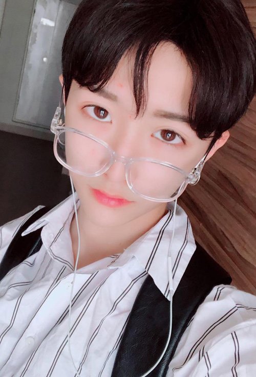 ʮ�����������ʲô���ͺÿ� С���ӵ�����̷�����