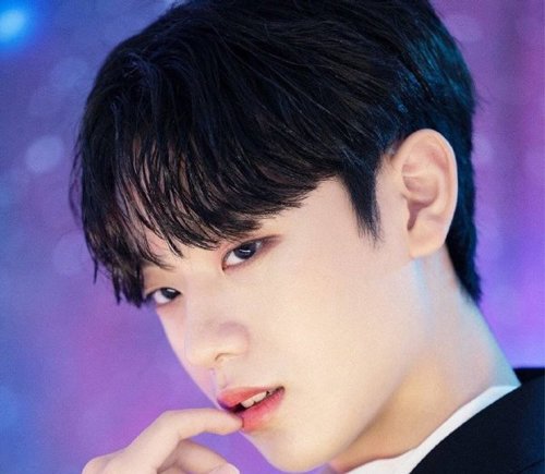 �ʺ�Բ������ʿ������ô�������� Բ���������������͵ķ����޼�