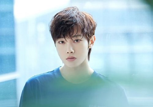 ͷ���ٵ����������ʲô���ķ��� ����������ô�����ݷ���������