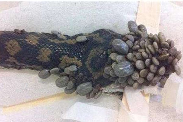 ���˹���Ů20��ͼƬ 20��ʬ���������ʴ�껭�漫�Ȳ���