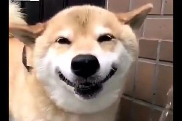 ΢ЦͼƬԭͼ Ƭ겻