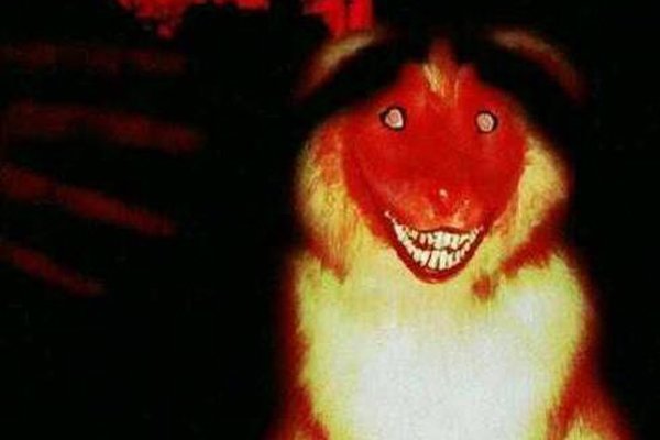 ΢Ц˶ û