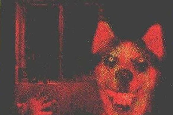 ΢Ц˶ û