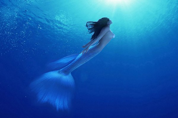 1962������������¼� С�к���ͷ��β