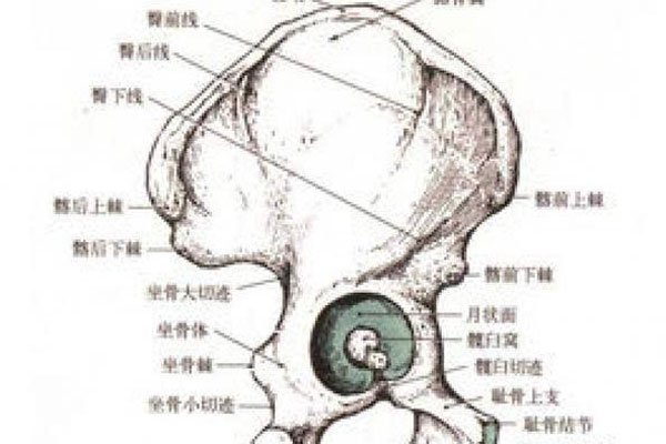 ���˹���ʲô��˼ ʬ��仯����֮��������Ӱ