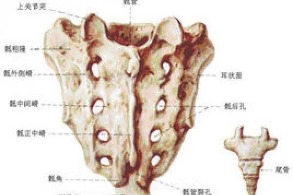 ���˹���ʲô��˼ ʬ��仯����֮��������Ӱ