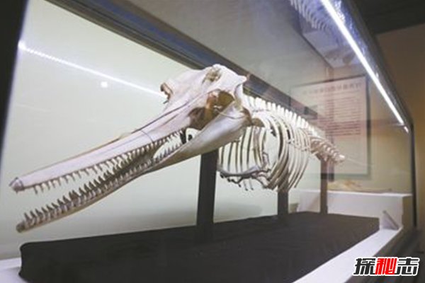  ΪʲôΣ