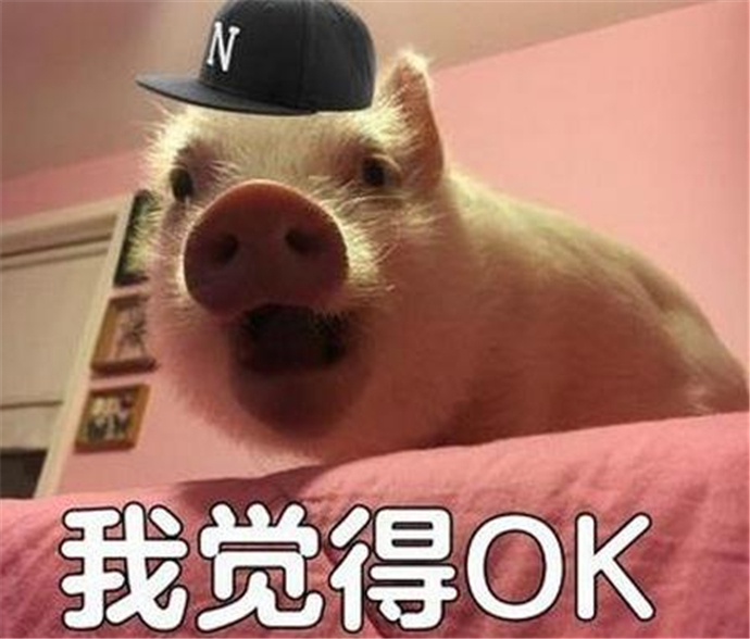 ojbkʲô˼ ضԷojbk