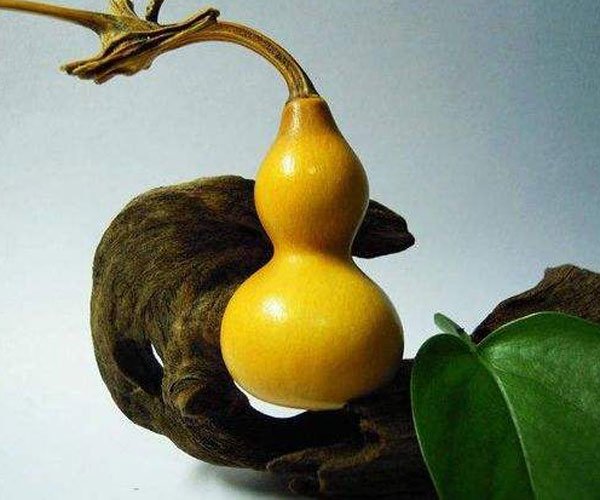 «ƷͼƬ «ʲôӵ