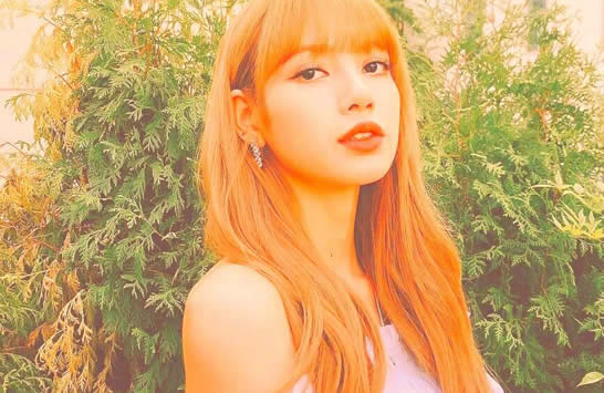 blackpinkԱϽ ˭ļҾ