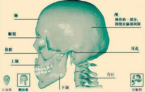 ͷṹͼ ͼƬͷ֯ͼĽ