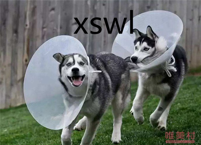 xswlʲô ˸㷢xswlôظ
