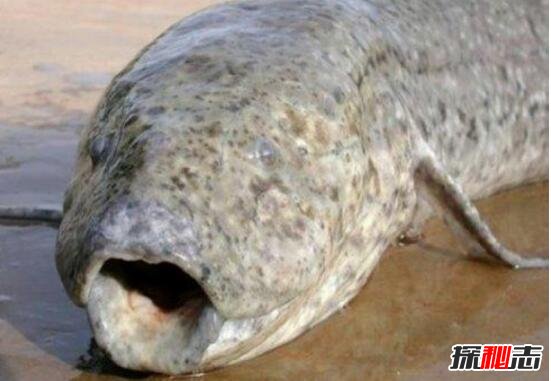 ȷʵ һŲڴشˮ