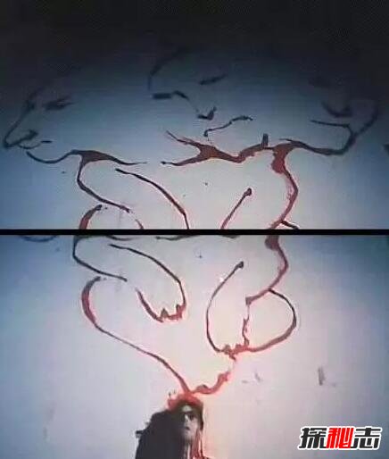 ͷӤʵ¼ ͷӤԹĸ
