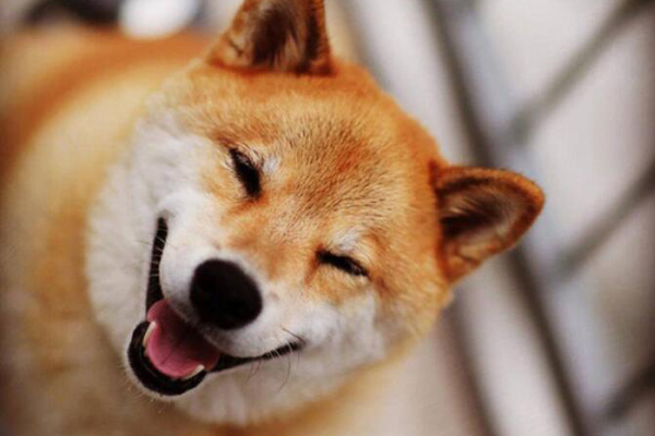 ʲô˼ʲô ˵