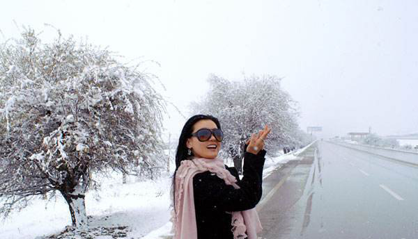 ̷���ı������ �������˰������Ȧ���ڱ�������