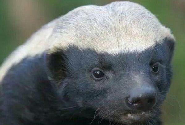 ƽͷʲô Ϊʲô˭