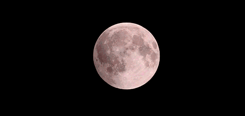 2018ʳʳʱĶƵô Ѫȫʳ¼