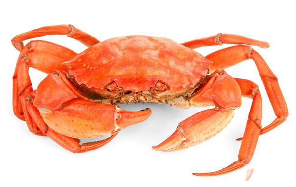 зԳ зòܳ˳˻ʲô