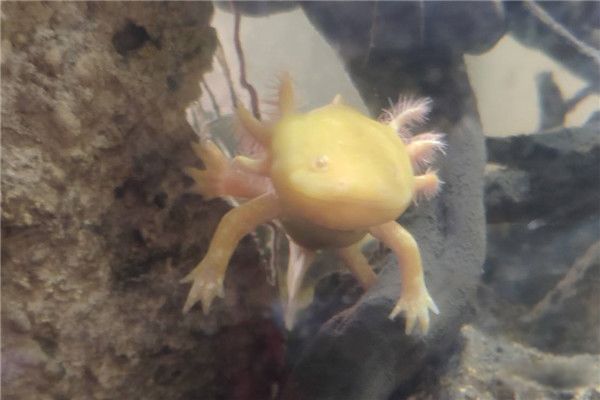ʲô ȷιʳ