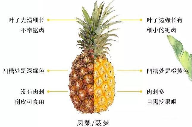 Ͳǲһ Ҫ