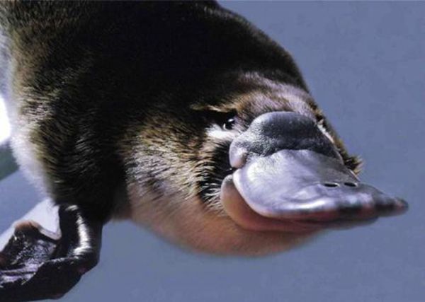 Ѽж ֻгѼ޲ж