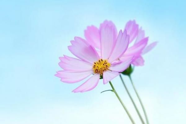ڰ˳䲻ʺ϶ʲô˵ ڰ˳