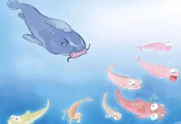 ЧӦʲô˼ ¸ߴʲô