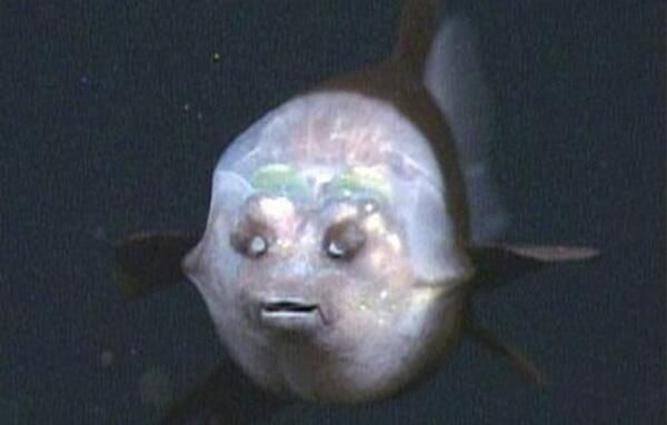 аǰʮ ԷҪ