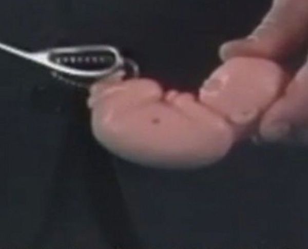 ̥ȫķ 4׶̥ൽж