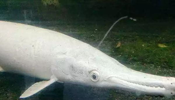 ĵˮǰʮ ׾24Ӣس3500