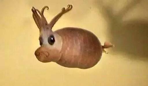 СͼƬʲô ᷢⳤ÷ǳɰ
