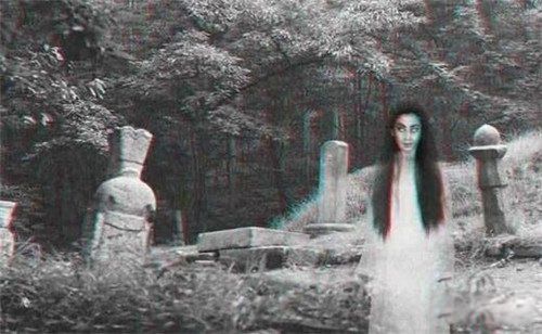 й10¼ Ŵ¼ǳĿֲ