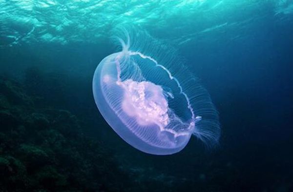 ûеˮˮĸ ˮˮĸж