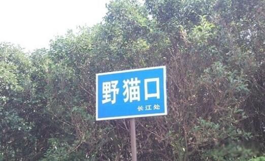 1984Ұè¼ϸ̽ Ѫ鲻