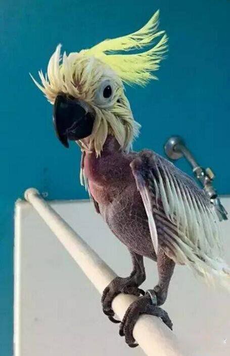 ֢İιԼë ΪʲôĻỼ֢