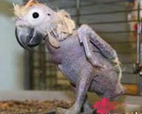 ֢İιԼë ΪʲôĻỼ֢