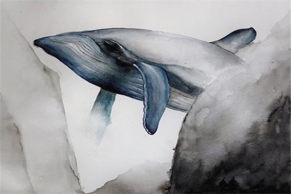  øɴ಻۾