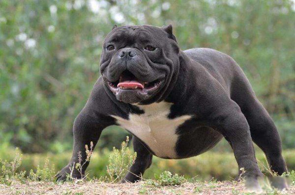 ȮǽȮ Ȯײ̶