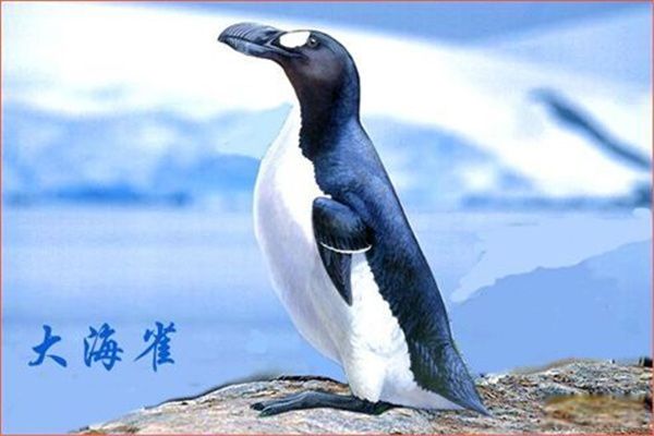 ȸʲô Ӿ
