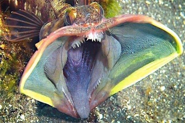 ʲô Ϊʲôɫ