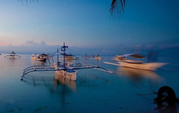 cebu ĸҵĳ