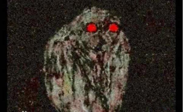 ϵèͷӥ ^Ŀ¼ʲô