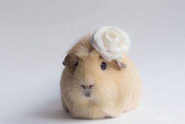  ʲô˼