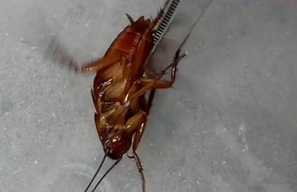 ʺʲôͼƬ ʺʺͼƬԱ