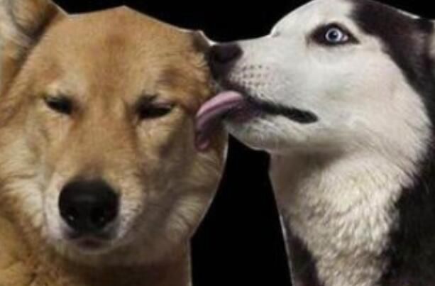 ʲô˼ Ա΢ʲô̶