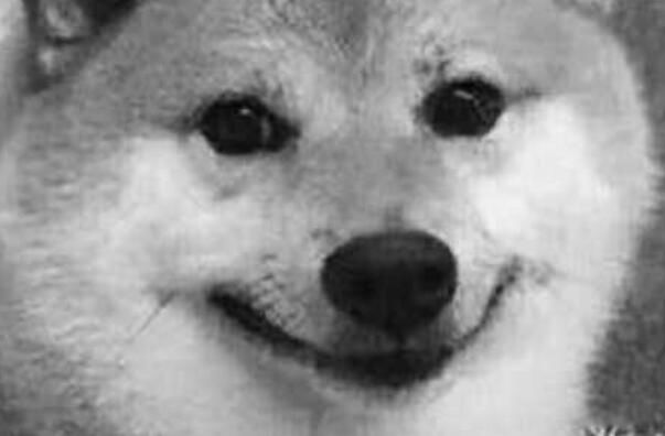 ʲô˼ Ա΢ʲô̶
