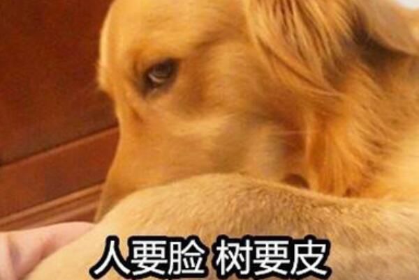 ˫깷˵˼ ˫깷˼׻