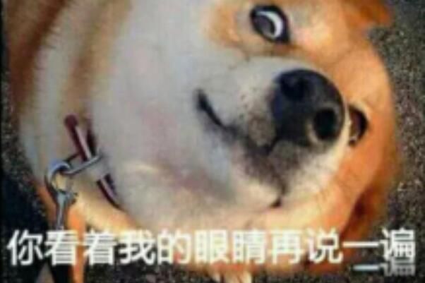 ˫깷˵˼ ˫깷˼׻