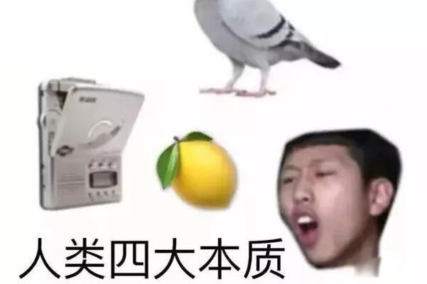 ˫깷˵˼ ˫깷˼׻